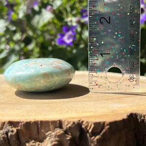 May include: A rounded, polished stone with a light blue-green hue and brown marbling. The stone is approximately 2 inches in diameter. It rests on a natural wood surface, with a blurred background of green foliage and purple flowers.