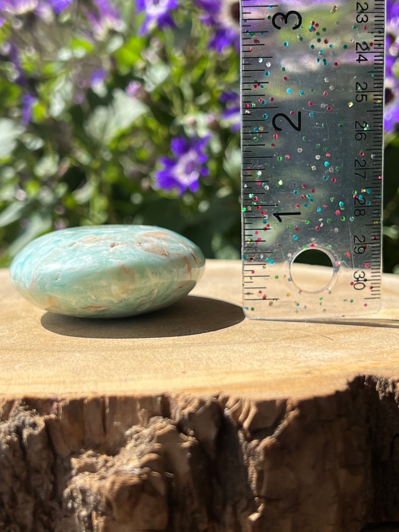 May include: A rounded, polished stone with a light blue-green hue and brown marbling. The stone is approximately 2 inches in diameter. It rests on a natural wood surface, with a blurred background of green foliage and purple flowers.