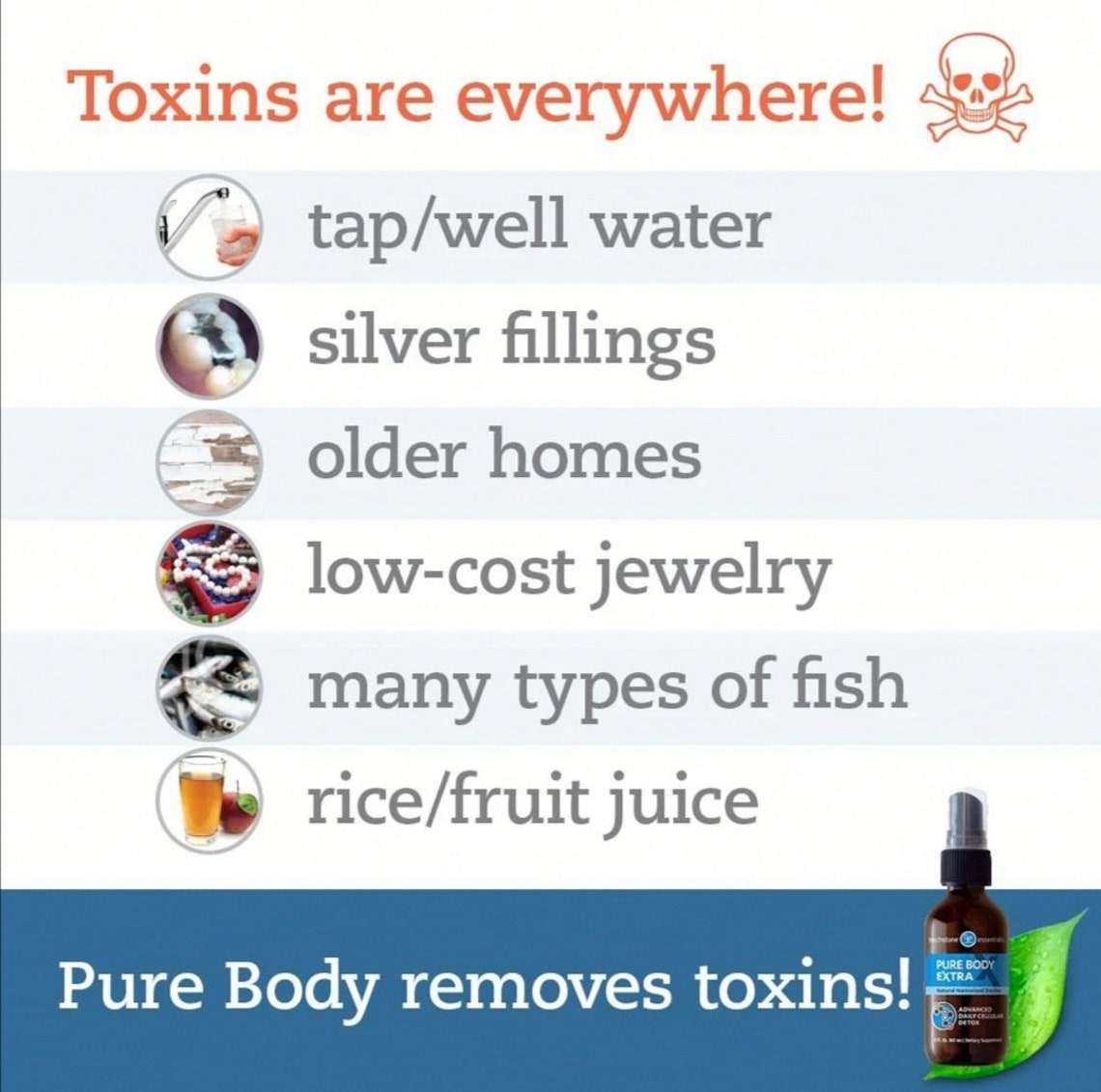 Pure Body Extra Natural Nanosized Zeolite Detox Spray Etsy