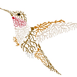 de Neuro Hummingbird - digitale kunst om af te drukken