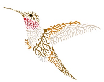 the Neuro Hummingbird - digital art for print