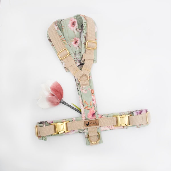 Custom-made dog harness made of softshell for small and large dogs (Y-harness, chest harness, well-fitting, beige, mint, padded)