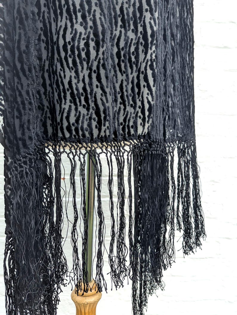 May include: A black semi-sheer shawl featuring a raised velvet-like animal print pattern with vertical stripes and dots. The garment is finished with long, thin, knotted black fringe trim along the bottom edge, creating a textured appearance.