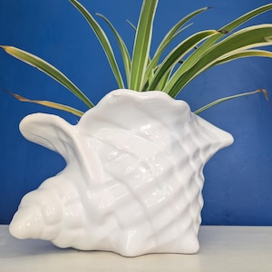 May include: White ceramic seashell planter with a green plant growing inside. The planter is shaped like a large seashell with a textured surface.