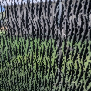 May include: A sheer fabric featuring a repeating vertical pattern of black, fuzzy, textured stripes against a translucent, light green background. The material has a distinct, raised velvet-like texture on the dark, elongated, irregular shapes.