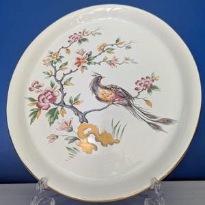 Könnte beinhalten: Ein weißer, runder dekorativer Teller mit goldenem Rand. Der Teller zeigt eine farbenfrohe Illustration eines Vogels, der auf einem blühenden Ast sitzt. Der Vogel hat einen langen, fließenden Schwanz und ist von rosa, gelben und grünen Blumen umgeben.