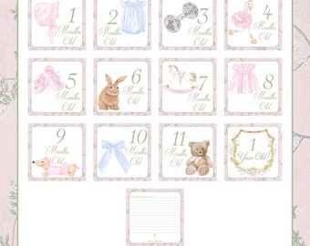 Girl Watercolor Milestone Card Set / Girls Watercolor Crest Monthly Milestones Grandmillennial Month Cards / Girl Baby Shower Gift / Preppy