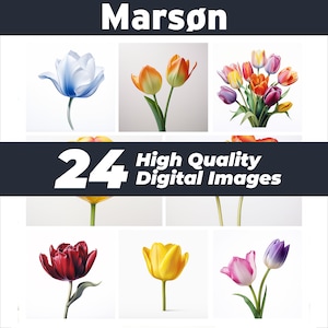 Tulips, Spring Floral Clipart, 24 PNG&#39;s, Instant Download for Commercial Use, Tulip Clipart Bundle, Spring Floral Clipart, Easter Designs