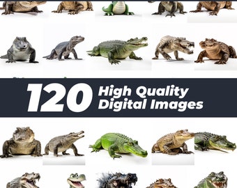 Alligator & Crocodile Clipart Bundle, Reptile PNG Graphics (Digital Download)