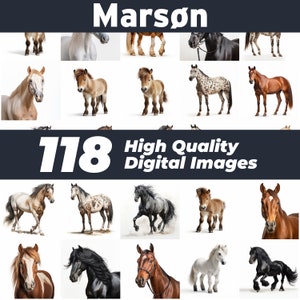 Horse clipart, horse head clipart, horse png, horse silhouette, horse sublimation, horse head svg, horse cricut, horse vector, Horses png