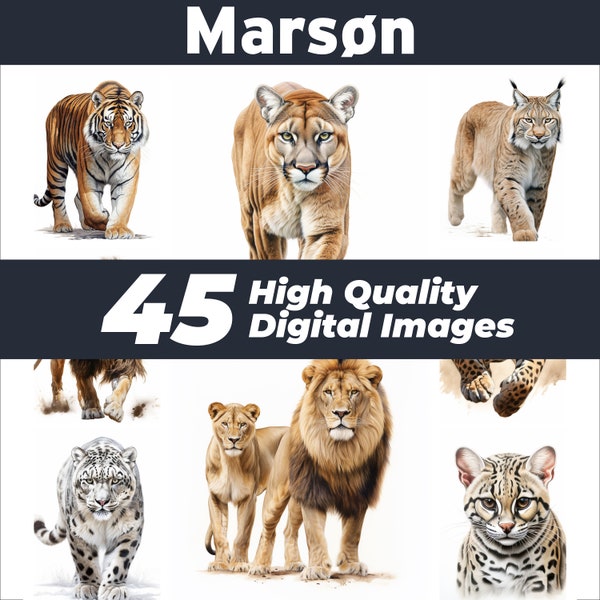 Grandes gatos salvajes, 45 IMÁGENES de gatos salvajes, imágenes prediseñadas de tigres, leones, leones femeninos y masculinos, ocelote, lince, puma, tigre blanco, guepardo, paquete de gatos