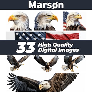 May include: A digital download of 33 high-quality images featuring a bald eagle with a red, white, and blue American flag. The eagle is shown in various poses, including flying, perched, and looking directly at the viewer. The images are perfect for use in digital projects, such as websites, social media, and presentations.