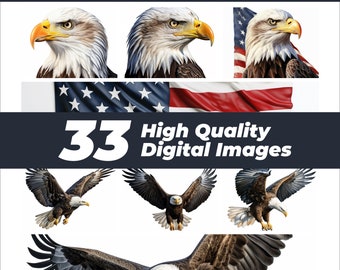 American Bald Eagle Clipart, Eagle PNG Images (Digital Download)