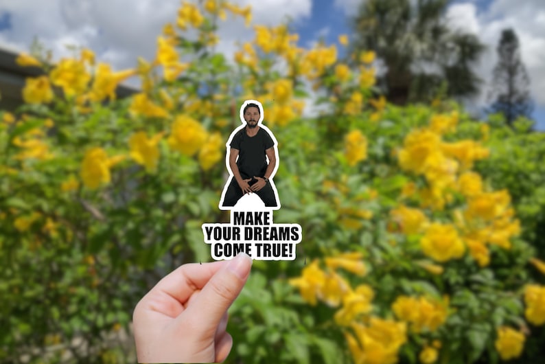 May include: A sticker featuring a man in a black shirt with the text "MAKE YOUR DREAMS COME TRUE!"
