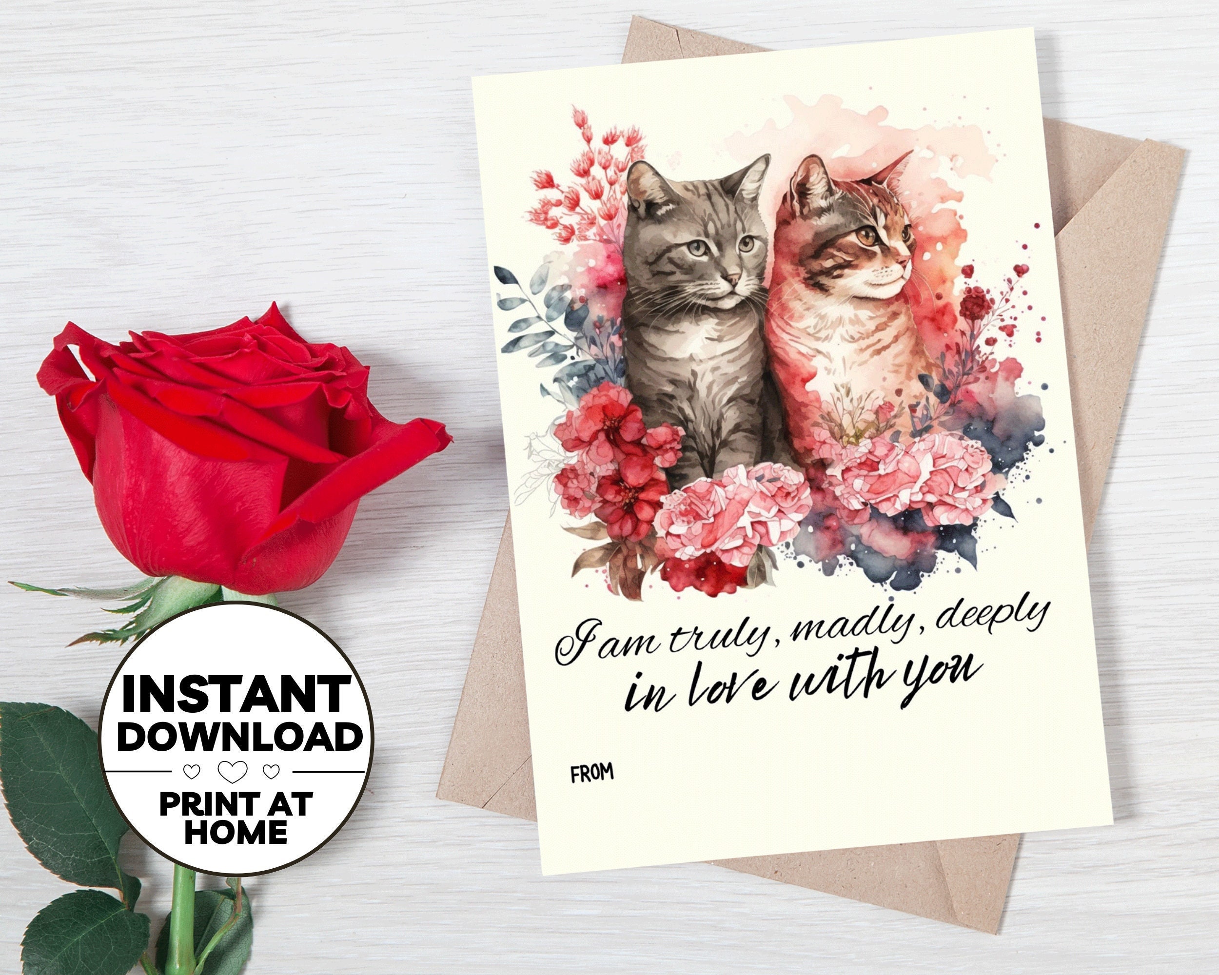 Printable Cat Valentine's Day Cards Digital Download - Etsy