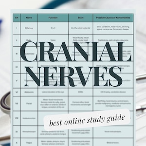 以下が含まれることがあります： 12の脳神経とその名前、機能、検査、異常の原因をまとめた表。表のタイトルは「脳神経」で、「最高のオンライン学習ガイド」と「PDFをすぐにダウンロード」というテキストが含まれています。