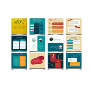 Plantillas coloridas para LinkedIn para organizaciones sin fines de lucro: 200 publicaciones personalizables en Canva (descarga digital) imagen 7