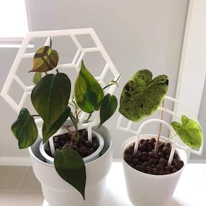 Honeycomb Flower 3D Printed Plant Trellis / Indoor Houseplant Trellis