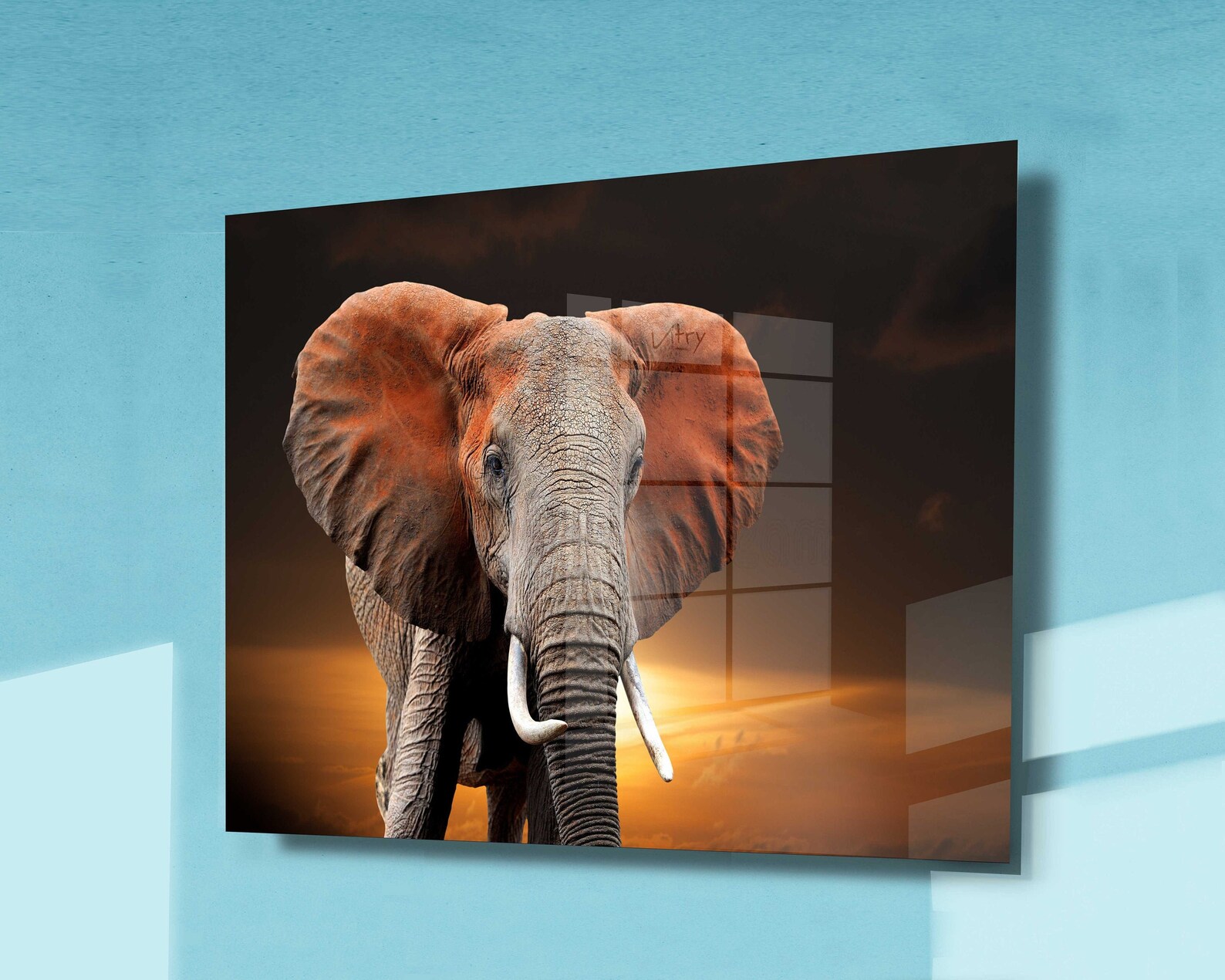 African Elephant Wall Glass Decor Tempered Glass Printing Etsy
