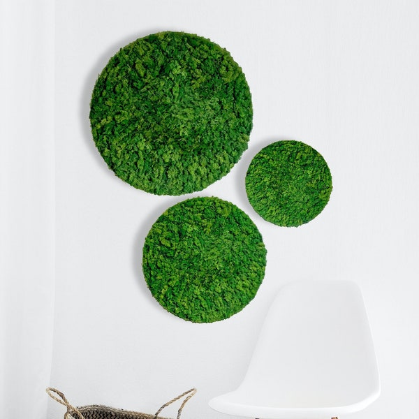 Moss picture “Circle” vertical garden made of moss