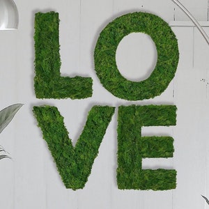 Letras con imágenes de musgo: palabras diseñadas individualmente - Musgo de Islandia, decoración del hogar, alfabeto de musgo