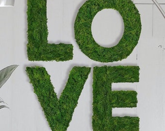 Lettere illustrate in muschio realizzate con vero muschio islandese – parole, nomi e frasi personalizzate in muschio come decorazione murale, arte murale in muschio fatta a mano