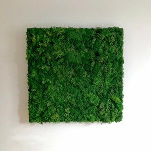 Moss picture “Square” vertical garden made of moss