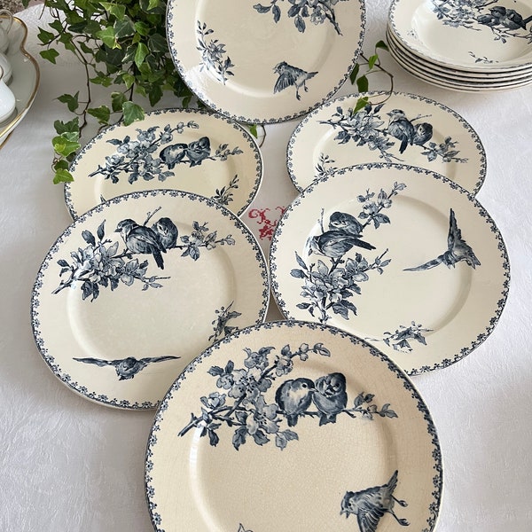 6 assiettes plates favori  Sarreguemines