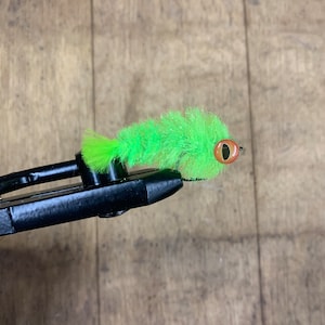 Rainbow Trout - Bucktail Game Changer