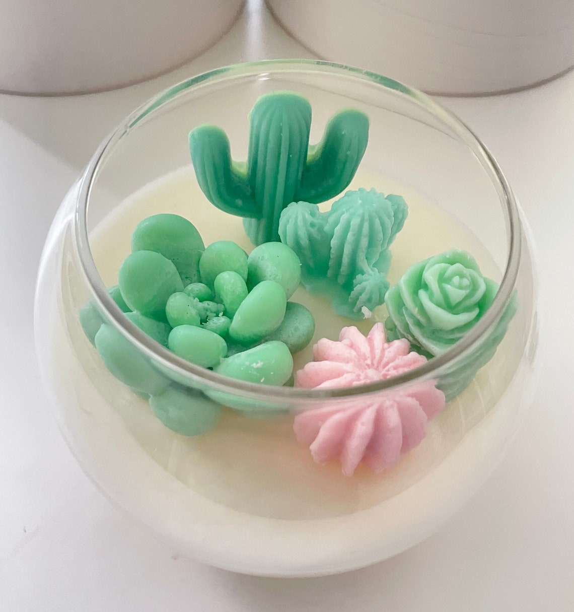 Succulent Cactus Terrarium Candle Etsy