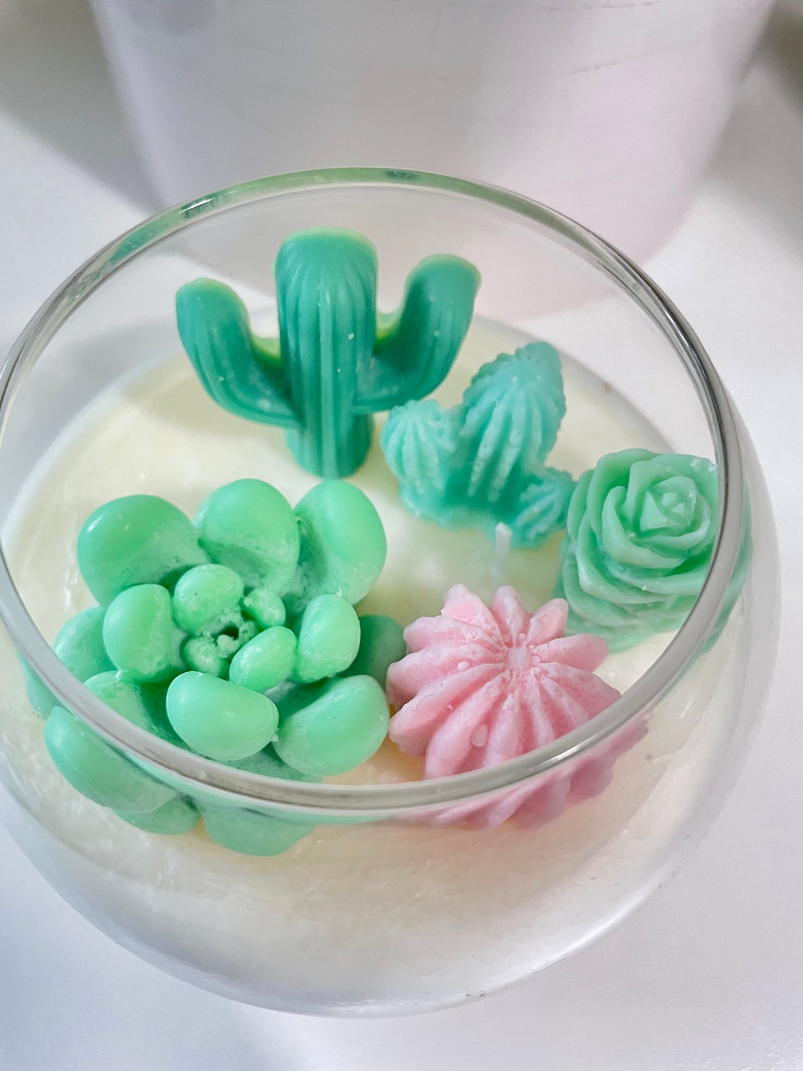 Succulent Cactus Terrarium Candle Etsy