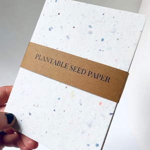 mini Confetti Seed Paper Notebooks - Handmade Notebooks - Eco Friendly Products  Handmade Stationery Recycled Paper, Holiday Gift, Plantable
