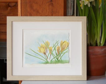 Crocus Watercolour Painting | Original Art | Floral Painting