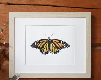 Monarch Butterfly Art Print | Giclee Art print | Pollinator Art