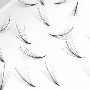 May include: A close-up of a tray of individual eyelash extensions. The extensions are black and arranged in rows on a white surface.
