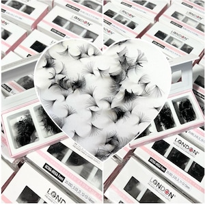 Mega Volume Eyelash Fans: 20-25D, 0.03mm, Mixed Box