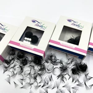 May include: Three boxes of black eyelash extensions. The boxes are white with a pink and purple design. The text on the boxes reads "Tashes by Lorina" and "Professional Eyelash Extensions". One box has the text "8D 10-0.07/CC/13mm - Flat Lash".