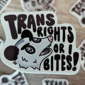 Trans Rights Or I Bites! - Cute Transgender Opossum Possum Vinyl Laminate Sticker