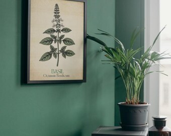 Láminas de hierbas vintage para pared / Juego de 5 imprimibles botánicos para cocina / Salvia, albahaca, tomillo, romero y orégano / Descarga instantánea