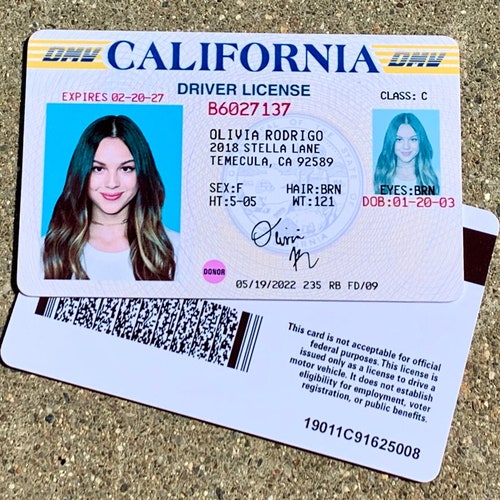Olivia Rodrigo Fake Id