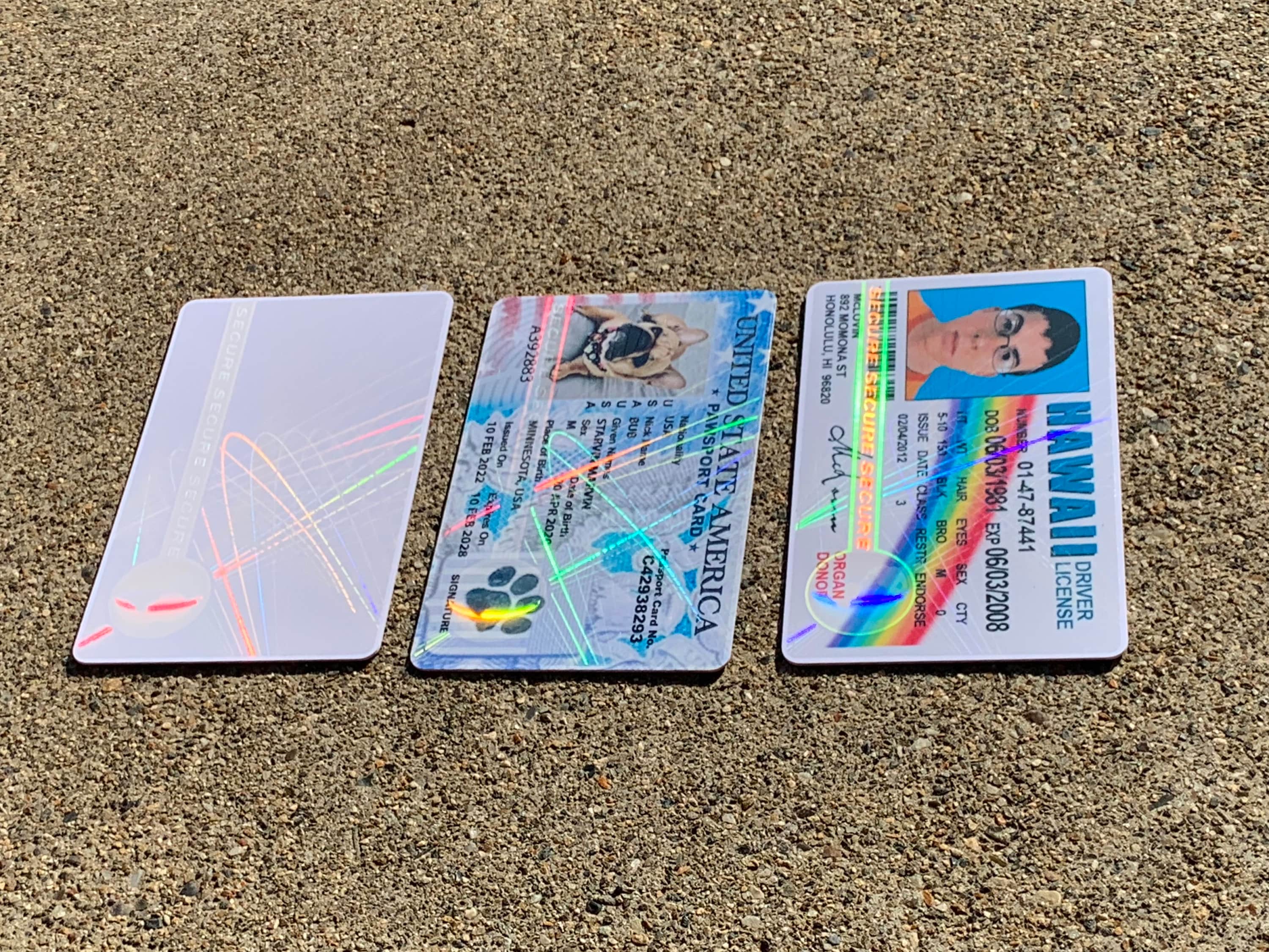 Secure W/ Web & Earth ID Card Hologram Overlays For Teslin/PVC - 100 Pack-450544