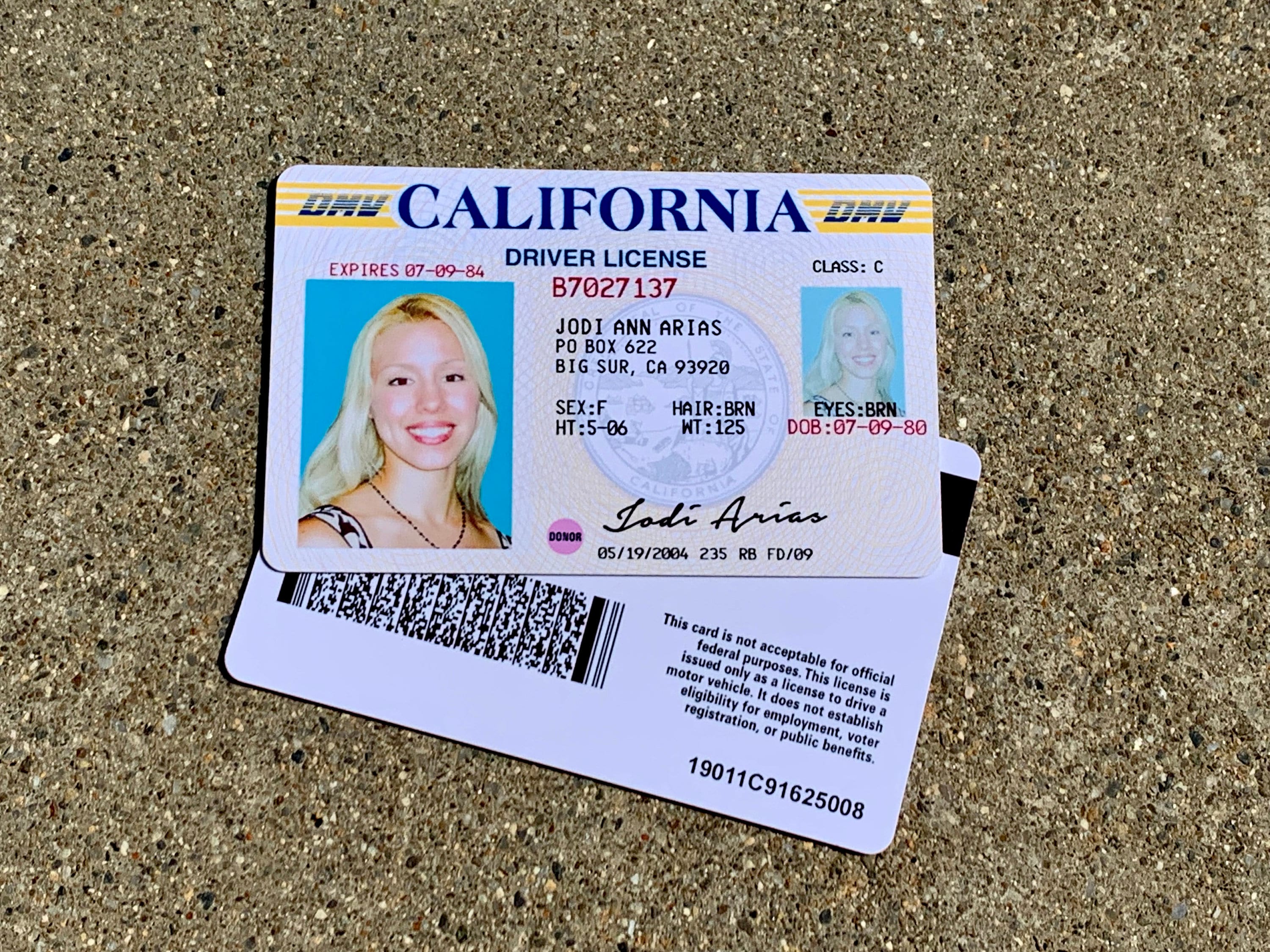 Jodi Arias Drivers License Prop hard Card Clear Etsy Australia