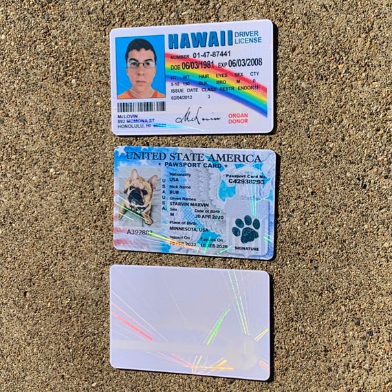 Hologram Overlays - Web & Earth Id Card Teslin / PVC Id Card