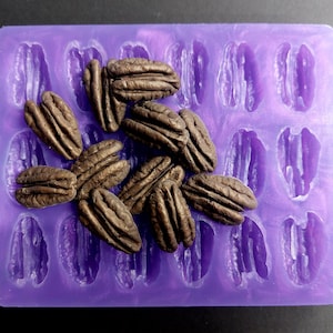 May include: A purple silicone mold with pecan-shaped cavities, partially filled with brown pecan halves. The mold has a glossy finish and is rectangular with rounded corners. The pecans are detailed and textured.