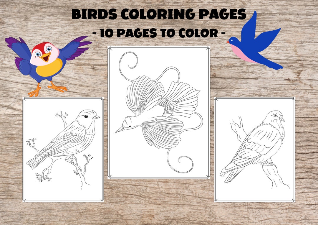 Birds Coloring Pages, 10 Printable Pages, Amazing Birds Coloring Book