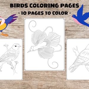 Birds Coloring Pages, 10 Printable Pages, Amazing Birds Coloring Book, Art Activity Pages to Relax and Enjoy