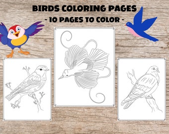 Birds Coloring Book: 10 Printable Art Activity Pages (PDF Download)