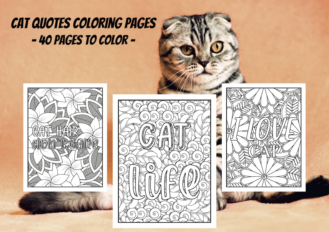 10 Aesthetic Cat Coloring Pages for Cat Lovers to Unwind and Unleash Creativity