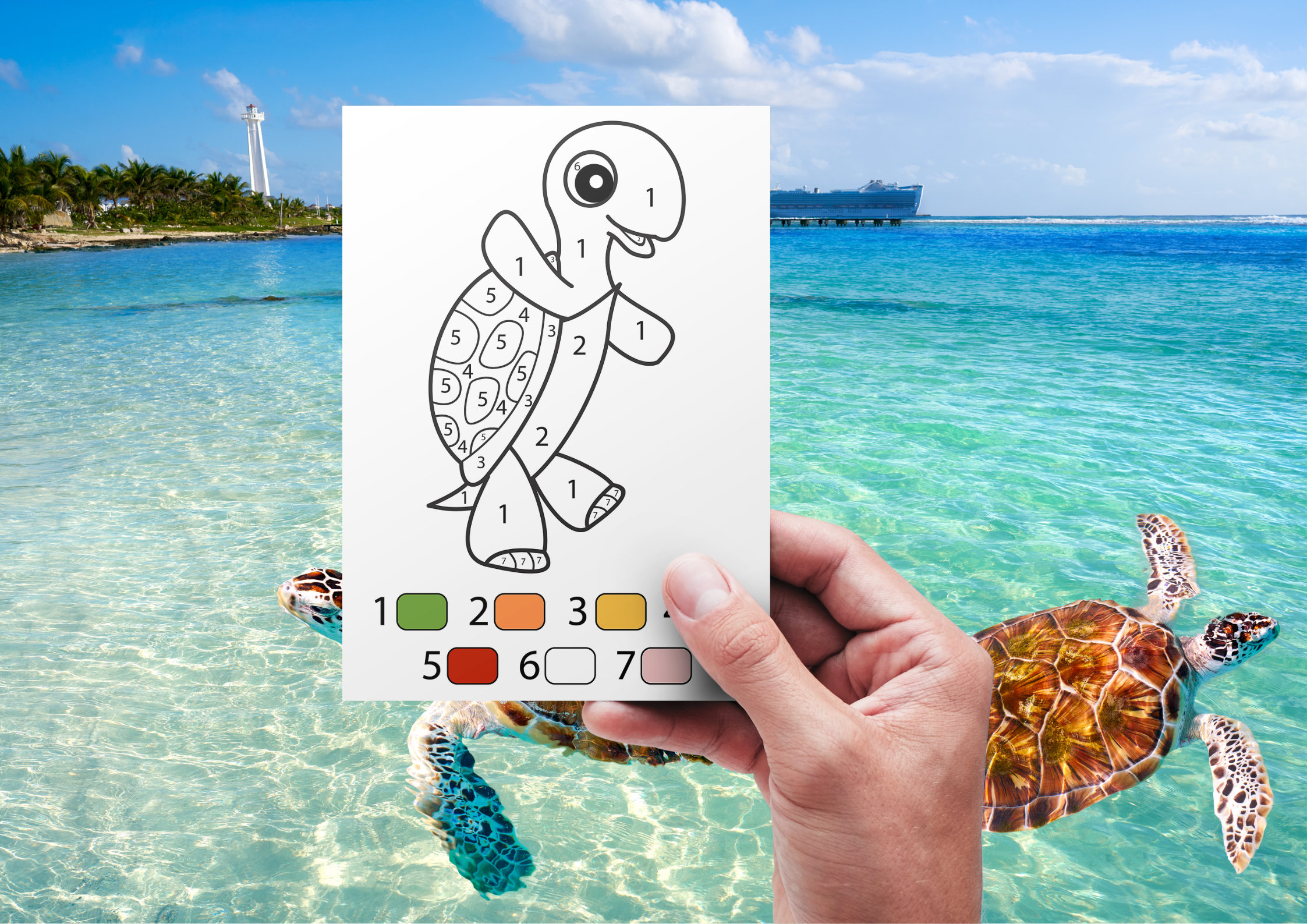 Turtle Color by Number for Kids, 10 Printable Pages, Paint by Numbers