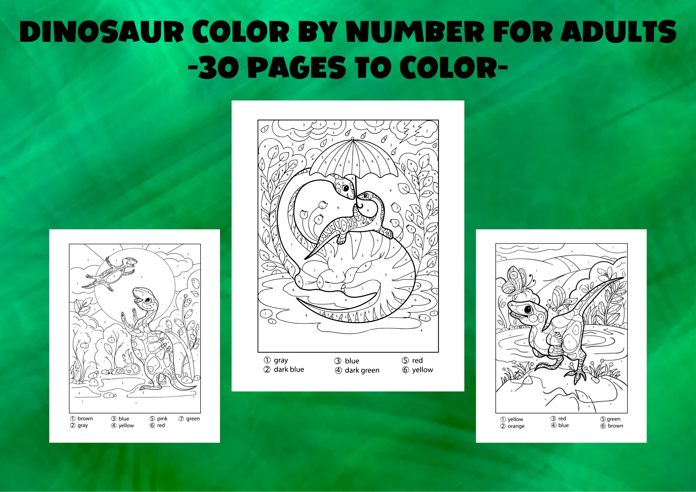 Color by number adult coloring book - Etsy 日本